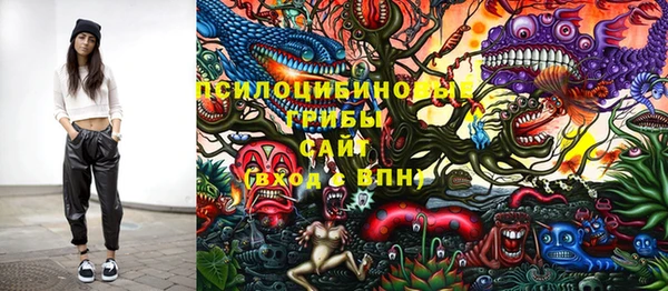 метамфетамин Козловка