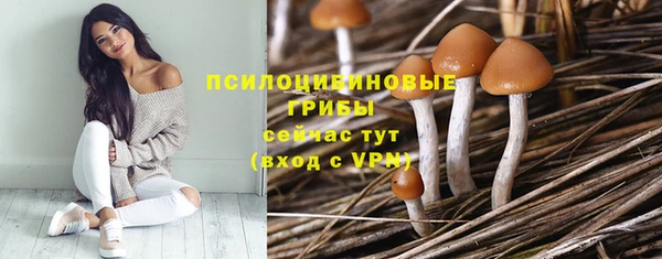 метамфетамин Козловка