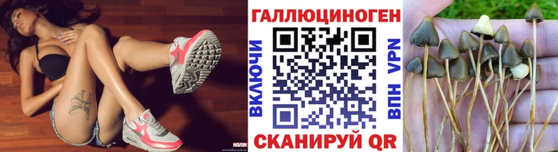 Галлюциногенные грибы Psilocybe  Купить  Енисейск 